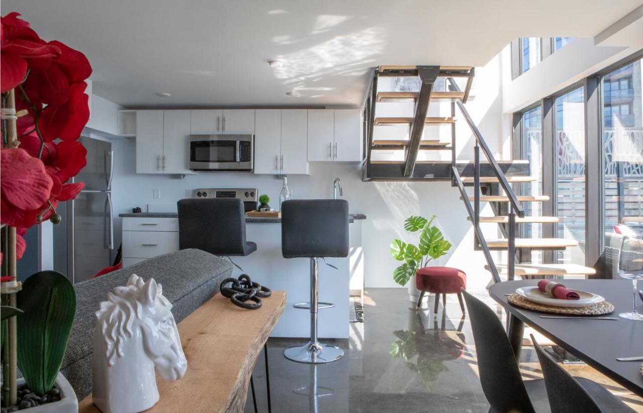 Cameo Hotel And Suites Χάλιφαξ Εξωτερικό φωτογραφία